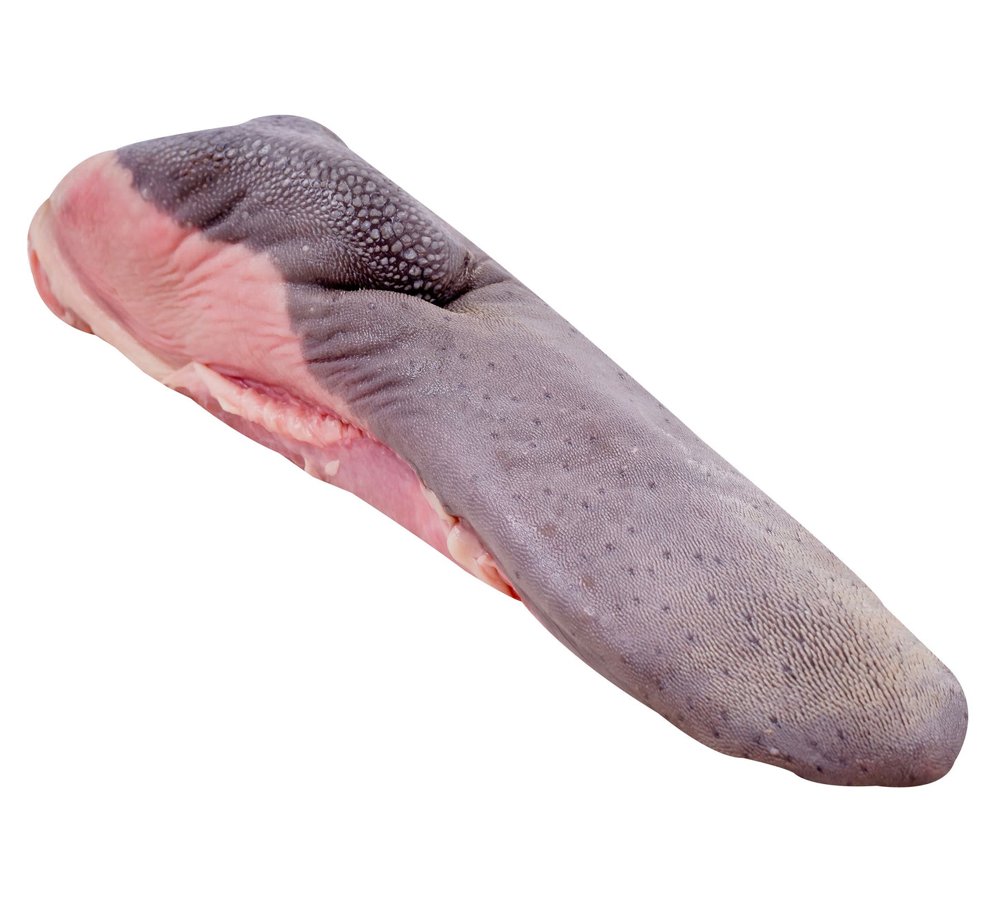 LENGUA DE RES ,BEEF TONGUE