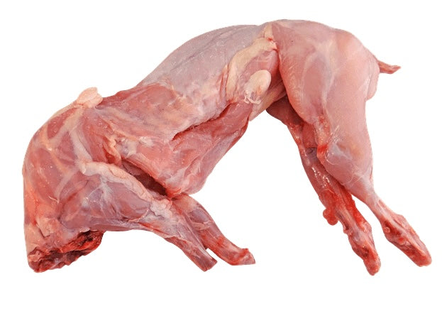 CONEJO,RABBIT