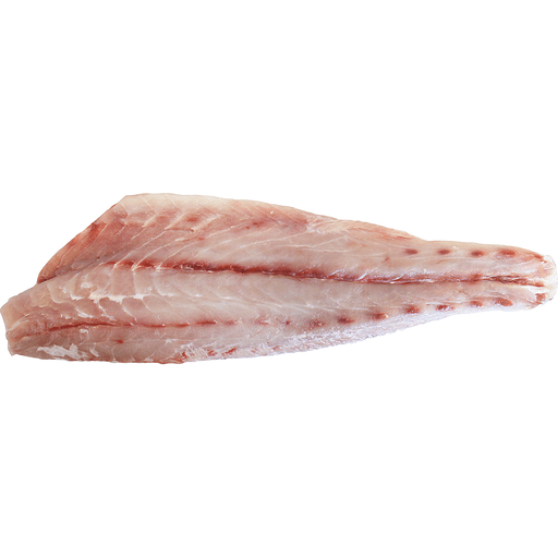 Corvina Fillet