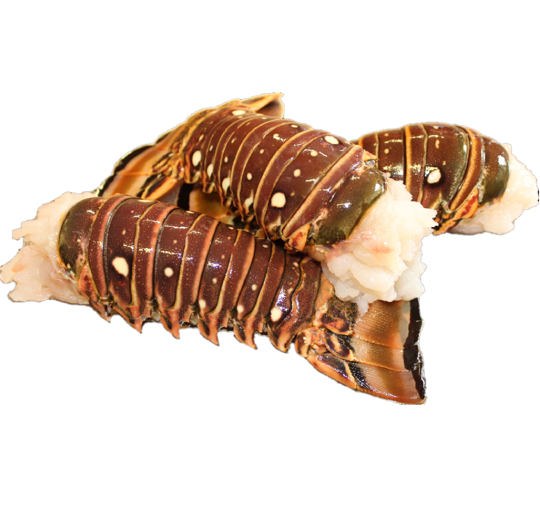 COLA DE LANGOSTA CARIBEÑA