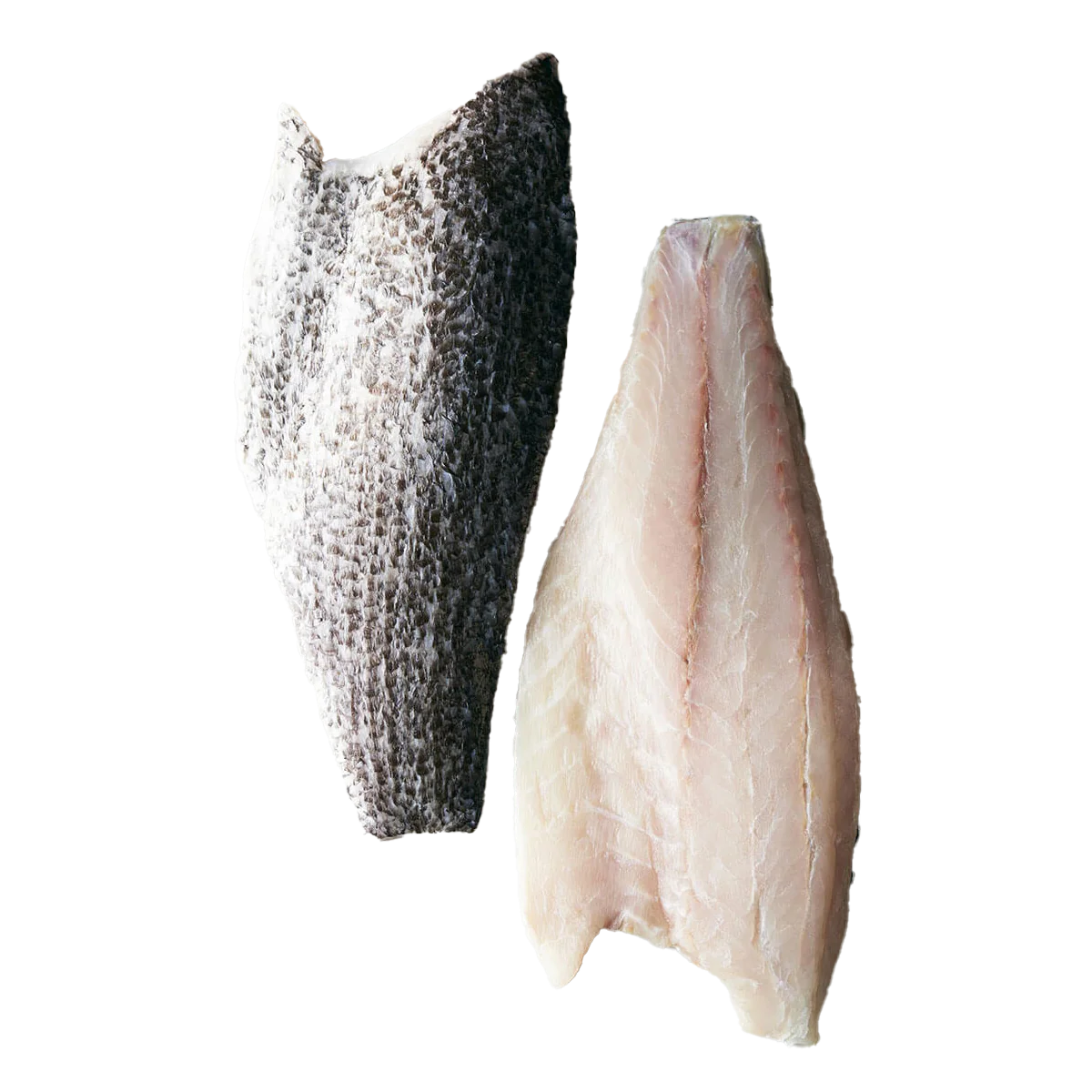 BARRAMUNDI FILET