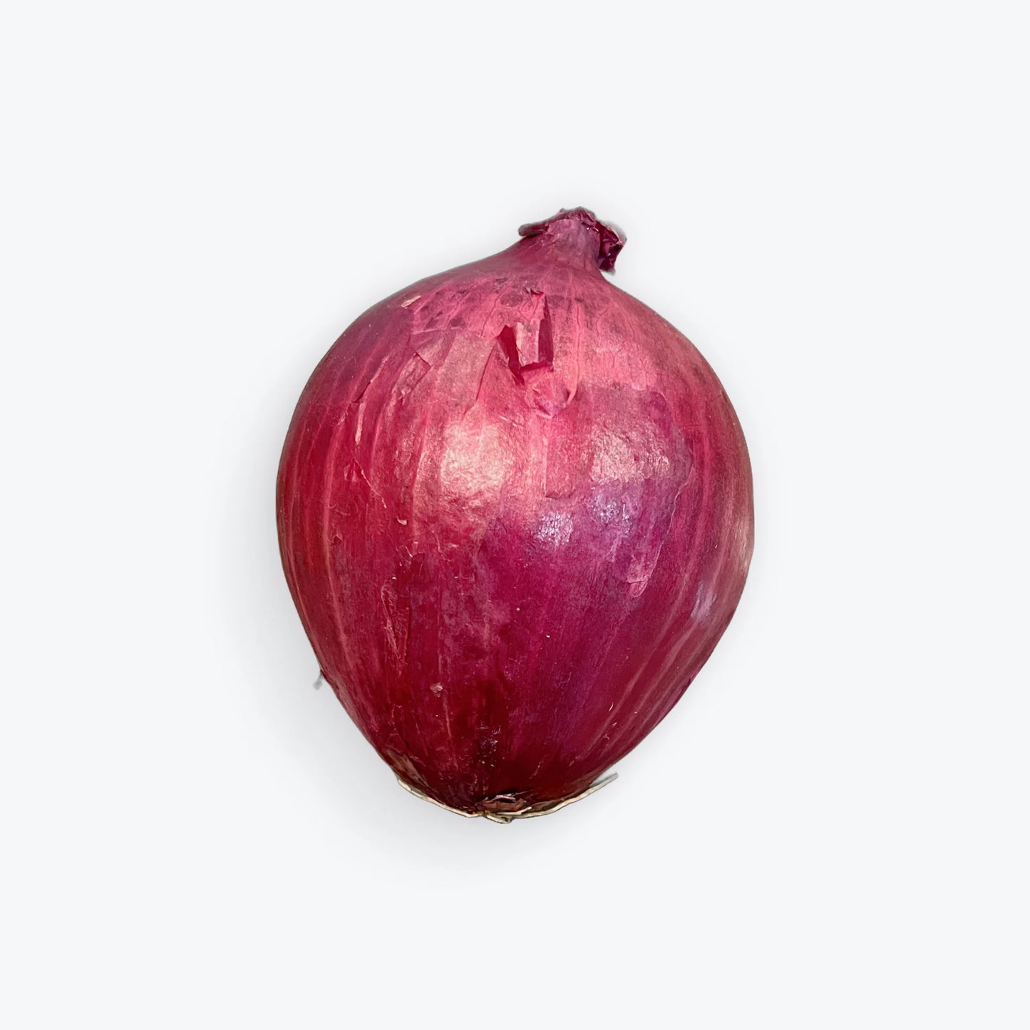 Cebolla Morada