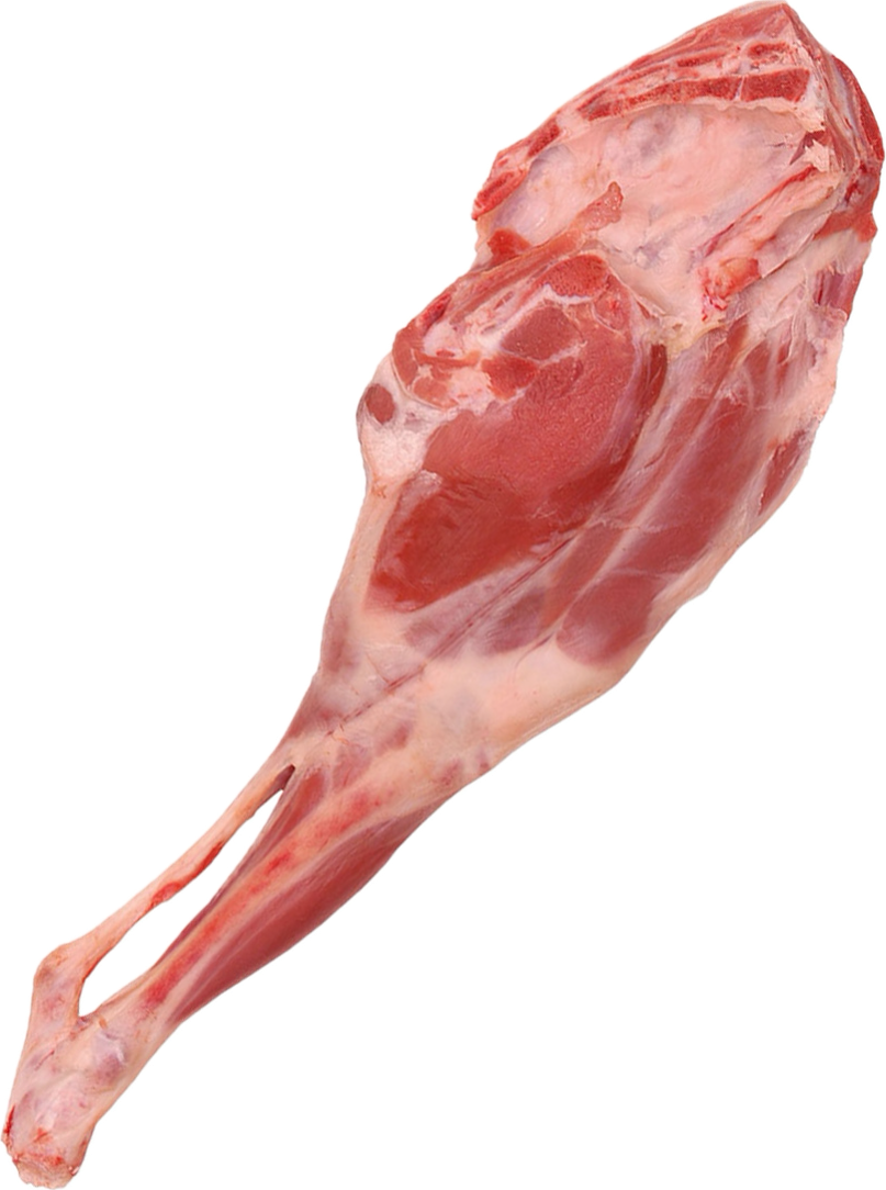Lamb Shanks (Pata Delantera)