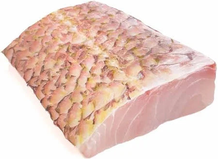 Snapper Yellow