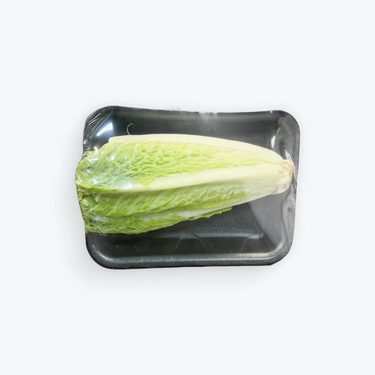 Lechuga romana